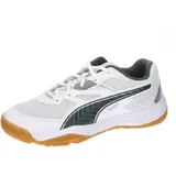 Puma Solarflash Jr Ii Indoor Court Shoe, White Shadow Gray Gum, 33 EU