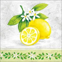 Ambiente Home Ambiente Servietten Papier 33x33cm 3-lagig / Party