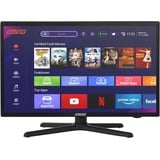 Selfsat 1222 22" Smart LED HD TV