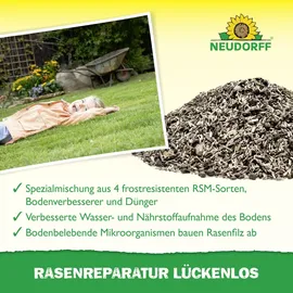 NEUDORFF Rasenreparatur Lückenlos 2,5 kg