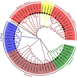 Fujitsu M.2 Riser Kit