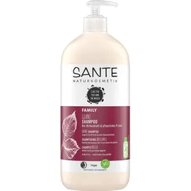 Sante Glanz Shampoo Bio-Birkenblatt & Pflanzliches Protein 950 ml