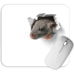 RNK Mousepad-Block 220x240mm 46654 Design 2