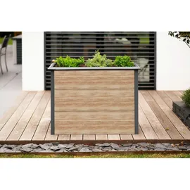 Westmann Primus-Multi M 100 x 50 x 77 cm Beige