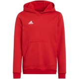 Adidas Entrada 22 Hoodie Kinder tepore 128