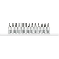 Gedore R48008013 Schraubendrehereinsätze 1/4 +Leiste 13-teilig