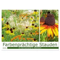Calvendo Farbenprächtige Stauden im Hermannshof in Weinheim (Wandkalender 2026