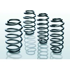 Eibach Fahrwerksatz, Federn