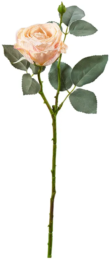 Rose 45cm apricot