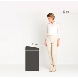 Brabantia Touch bin 60 l platinum