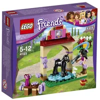 LEGO Friends 41123 Waschhäuschen für Emmas Fohlen
