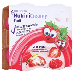Nutrini Creamy Fruit Beerenfrüchte 4X100 g