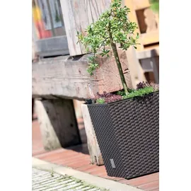 Prosperplast Rato Low 26,2 x 26,2 x 26,6 cm anthrazit