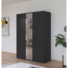 Rauch Drehtürenschrank »Kleiderschrank Schrank Garderobe Wäscheschrank VOYAGER«, (in 3 verschiedenen Ausstattungen BASIC/CLASSIC/PREMIUM), mit modernen Griffen in Graumetallic und Spiegel