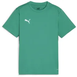 Puma Teamgoal Jersey Jr sport green-puma white-power green (05) 128