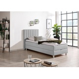 Maintal Boxbett, grau,