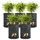 casativo-garden Pflanzsack 10L
