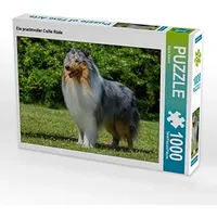 Calvendo Puzzle EIN prachtvoller Collie Rüde 1000 Teile Puzzle