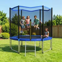 305 Cm Großes Trampolin Mit Sicherheitsnetz Und Außenleiter.