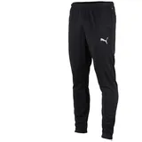 Puma teamRISE Trainingshose Herren black/white XXL