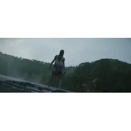 Sony Evil Dead Burn