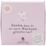 Die Stadtgärtner Wiesen-Margeriten Pflanzset Danke, dass du mir beim Wachsen geholfen hast" – Einzigartiges Geschenk | Bedanken, das wächst & lange Freude schenkt