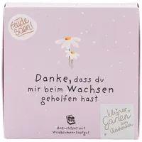 Die Stadtgärtner Wiesen-Margeriten Pflanzset Danke, dass du mir beim Wachsen geholfen hast" – Einzigartiges Geschenk | Bedanken, das wächst & lange Freude schenkt
