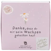 Die Stadtgärtner Wiesen-Margeriten Pflanzset Danke, dass du mir beim Wachsen geholfen hast" – Einzigartiges Geschenk | Bedanken, das wächst & lange Freude schenkt