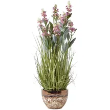 Homescapes KUNSTPFLANZE Lavendel rosa 66 cm