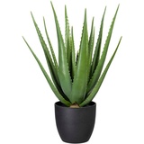 Creativ green Künstliche Zimmerpflanze »Aloe«, grün