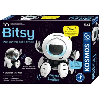 Kosmos Bitsy
