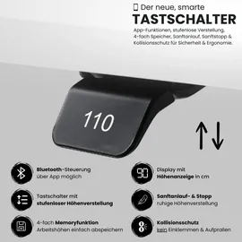 bümö Schreibtisch XDLR Asteiche / Graphit