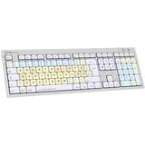 LogicKeyboard Dyslexie Keyboard ALBA DE