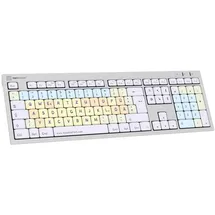 LogicKeyboard Dyslexie Keyboard ALBA DE