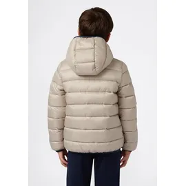 Champion Steppjacke Beige XL