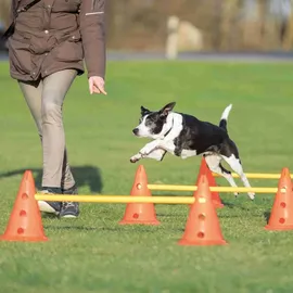 Trixie Dog Activity Hindernisse ø 23 cm orange