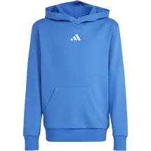 adidas Hoodie Blue 152