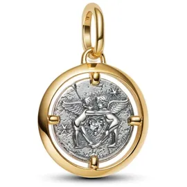 Pandora Amor Zweifarbig 764088C01
