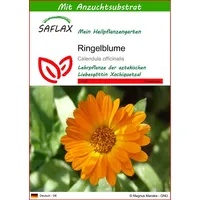 SAFLAX - Heilpflanzen - Ringelblume - 50 Samen -
