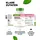 Vit4ever Myo-Inositol Kapseln 240 St.