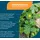 NatuGena GmbH NatuGena AdaptoBalance Kapseln 60 St.