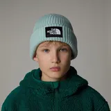 The North Face Salty Lined Beanie muted pine
