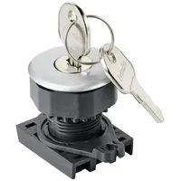 TRU Components TC-10343996 S3KF-2FS Schlüsselschalter-Frontelement Schlüssel Silber 1 x
