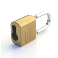 Burg Wächter Burg-Wächter Vorhangschloss für Profil-Halbzylinder,