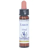 Leitner Lifecare GmbH BACHBLUETEN Larch Healing Herbs