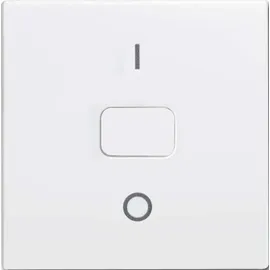 Busch-Jaeger Wippe 2502-914