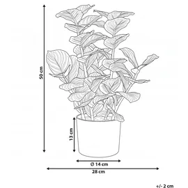 Beliani Kunstpflanze ORBIFOLIA 50 cm Grün