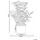 Beliani Kunstpflanze ORBIFOLIA 50 cm Grün