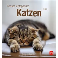 Heye Tierisch entspannte Katzen Postkartenkalender 2026