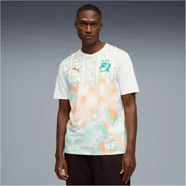 Puma Elfenbeinküste Auswärtstrikot 2026 Herren Gr. L